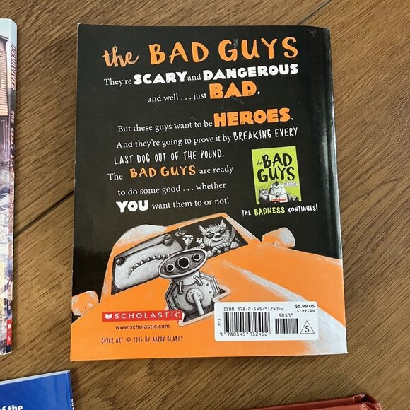 Elementary/ Middle School Kid Book Bundle, Dog Man, I Survived, Bad Guys - Picture 9 of 13